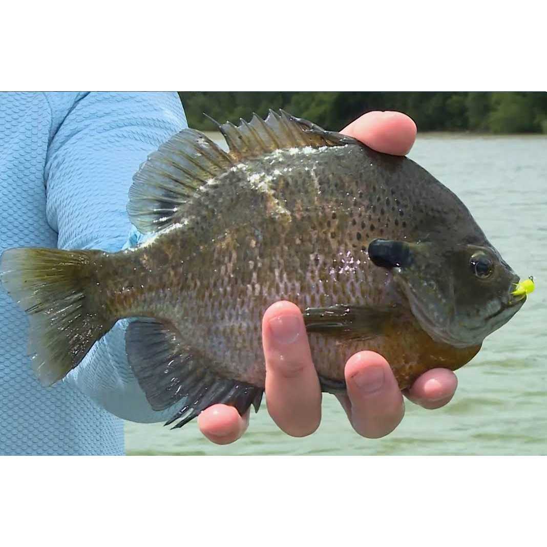 Sufix NanoBraid Low-Vis - Image 3