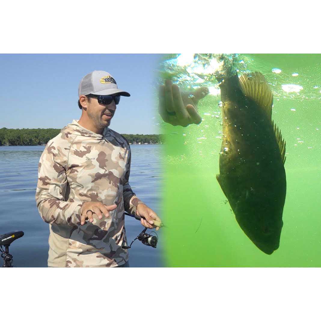 VMC Marabou Jig - Image 4