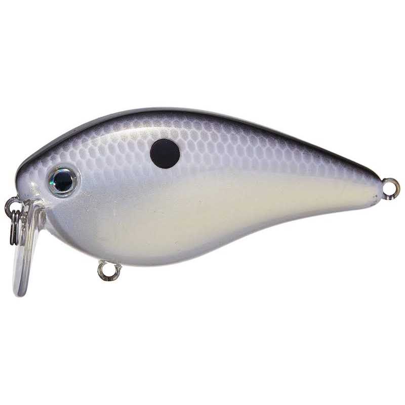 Strike King KVD 2.5 Wake Bait - Image 5