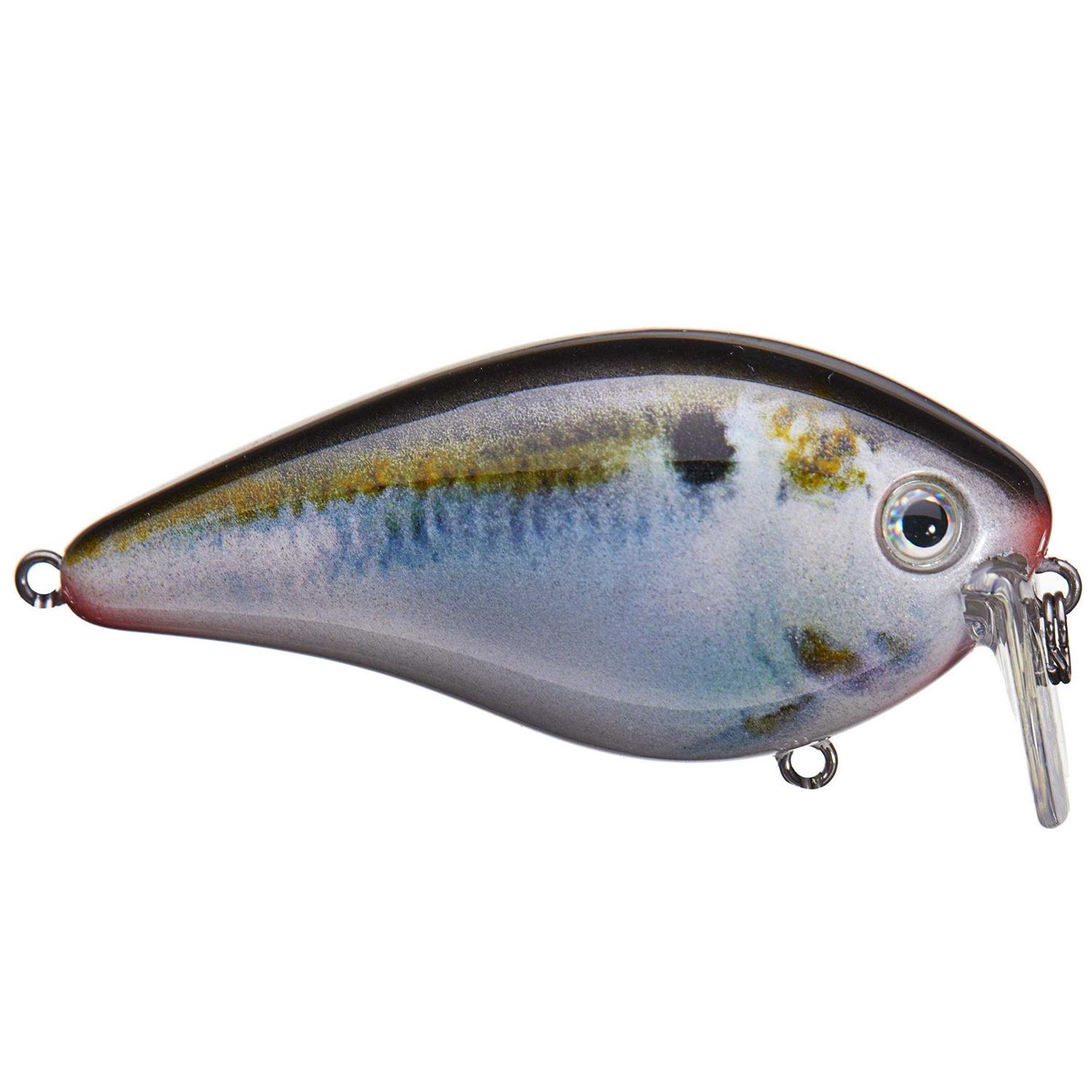 Strike King KVD 2.5 Wake Bait - Image 2