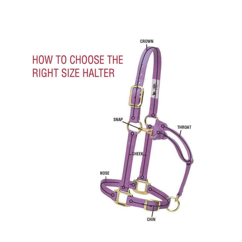 Weaver Adjustable Halter - Image 4