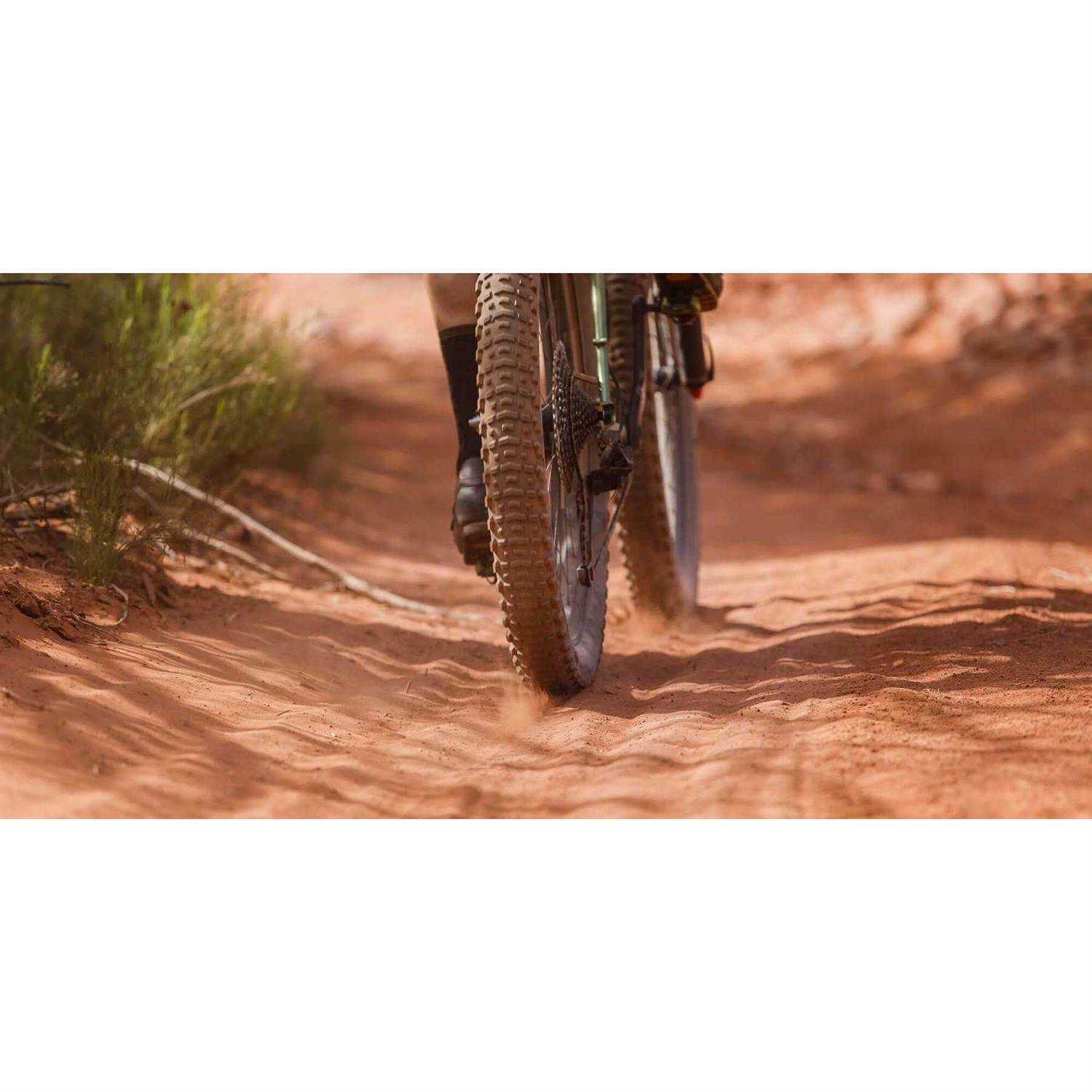 Teravail Coronado Tire - Image 5