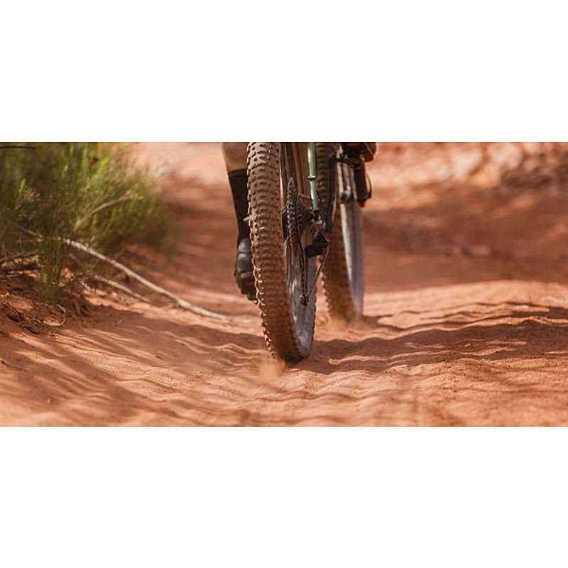 Teravail Coronado Tire - Image 4