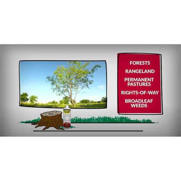 Stump Stop 32 oz. Cut Stump & Basal Bark Treatment - Image 5
