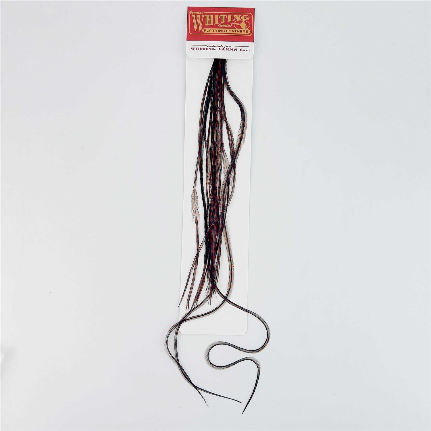 Whiting 100 Pack - Image 4