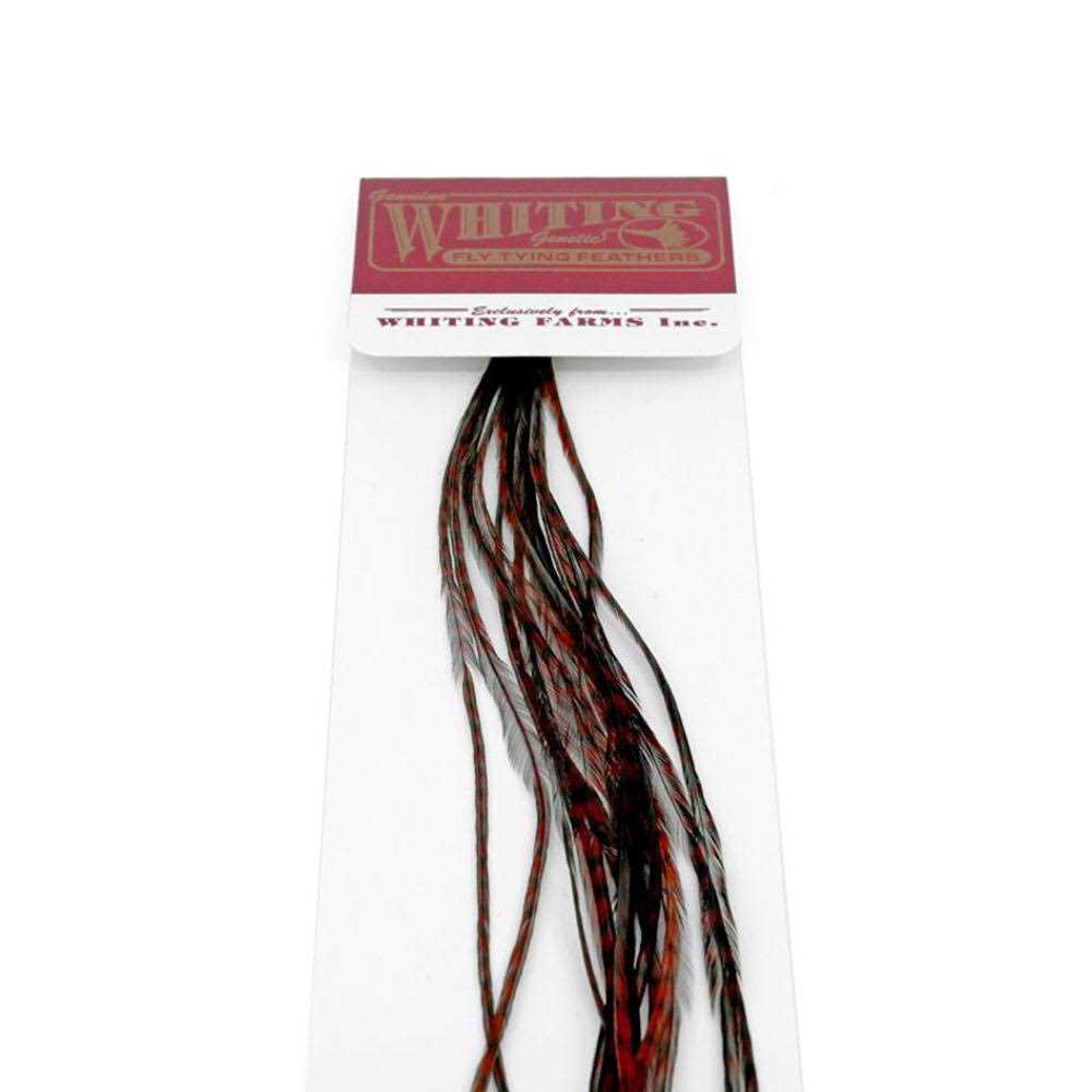 Whiting 100 Pack - Image 5