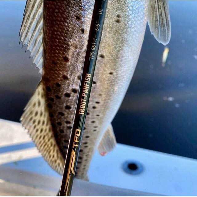 Temple Fork Outfitters Trout & Panfish Spinning Rod - Image 4