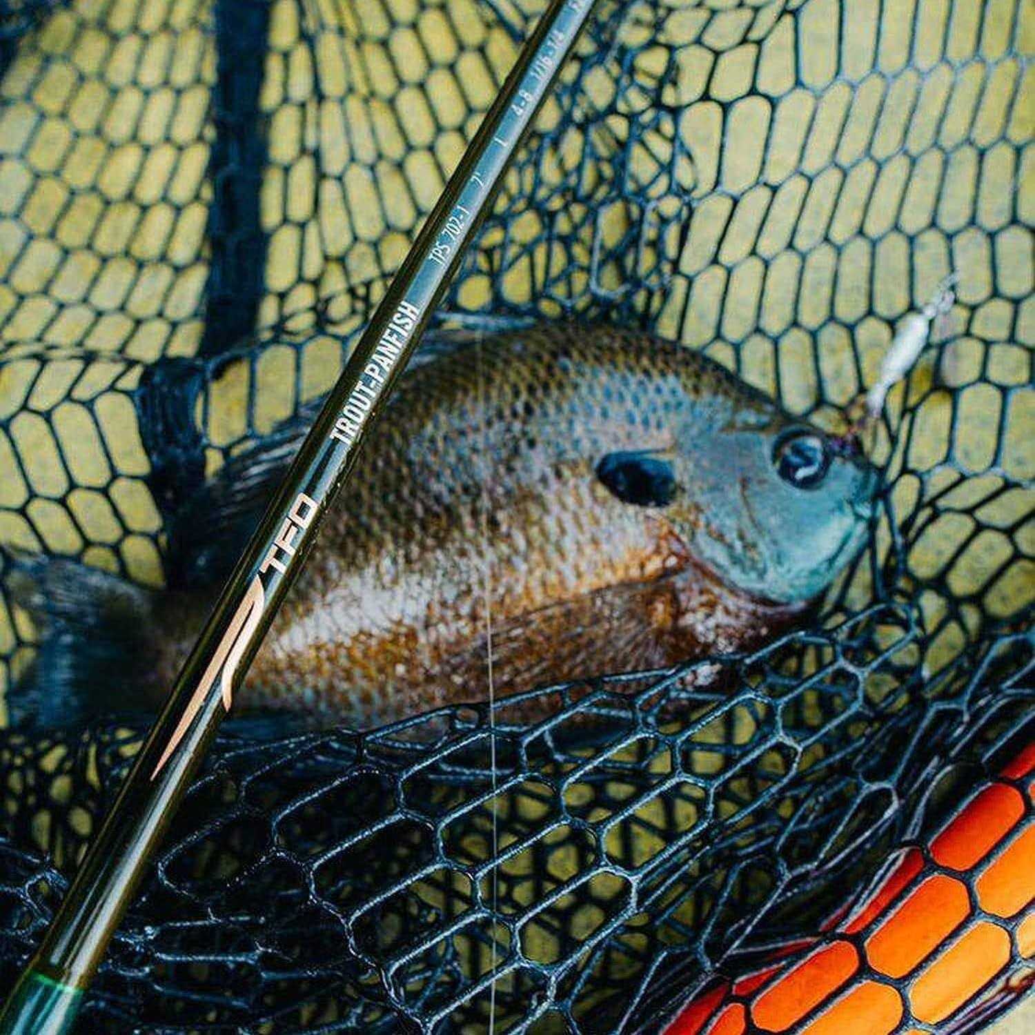 Temple Fork Outfitters Trout & Panfish Spinning Rod - Image 5