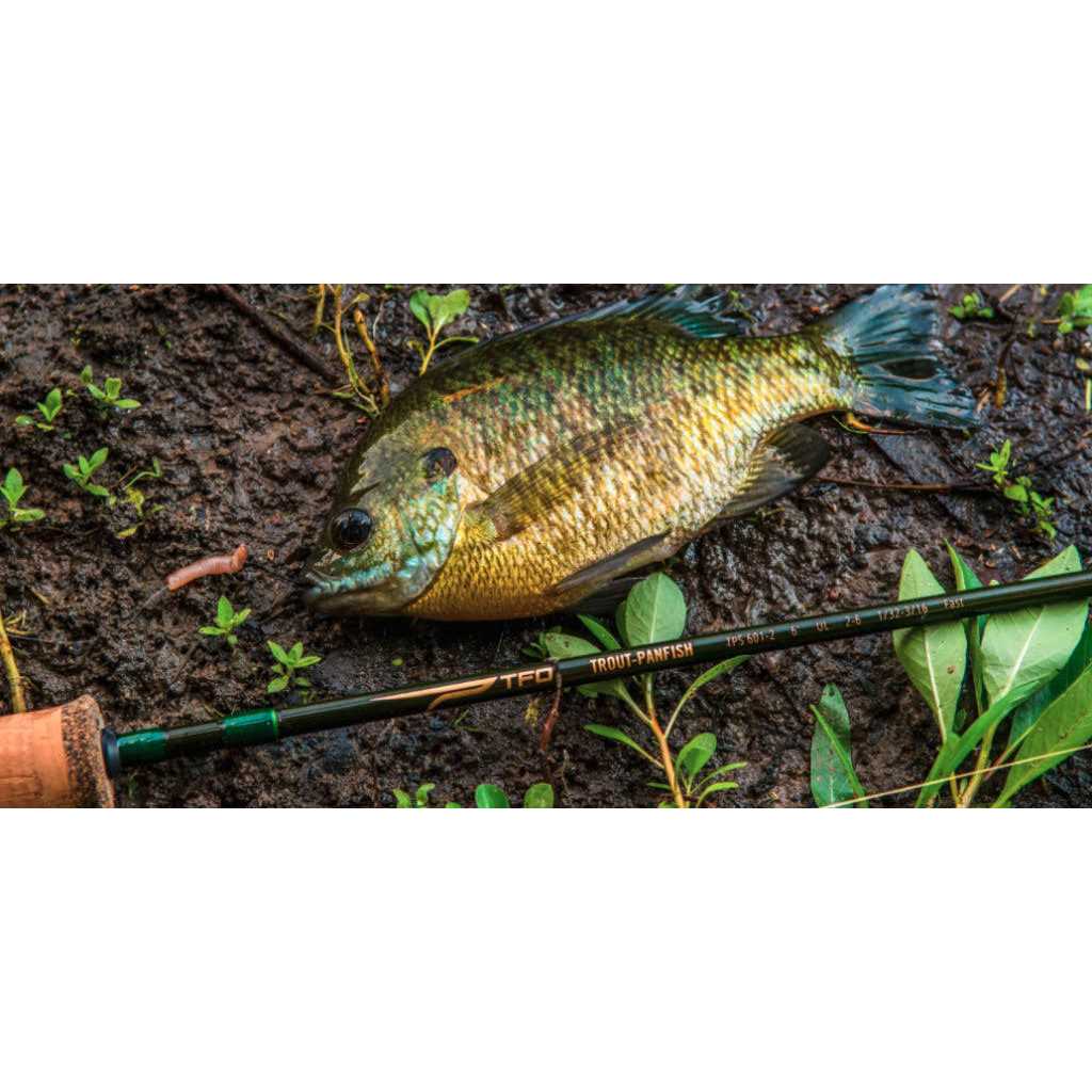 Temple Fork Outfitters Trout & Panfish Spinning Rod - Image 3