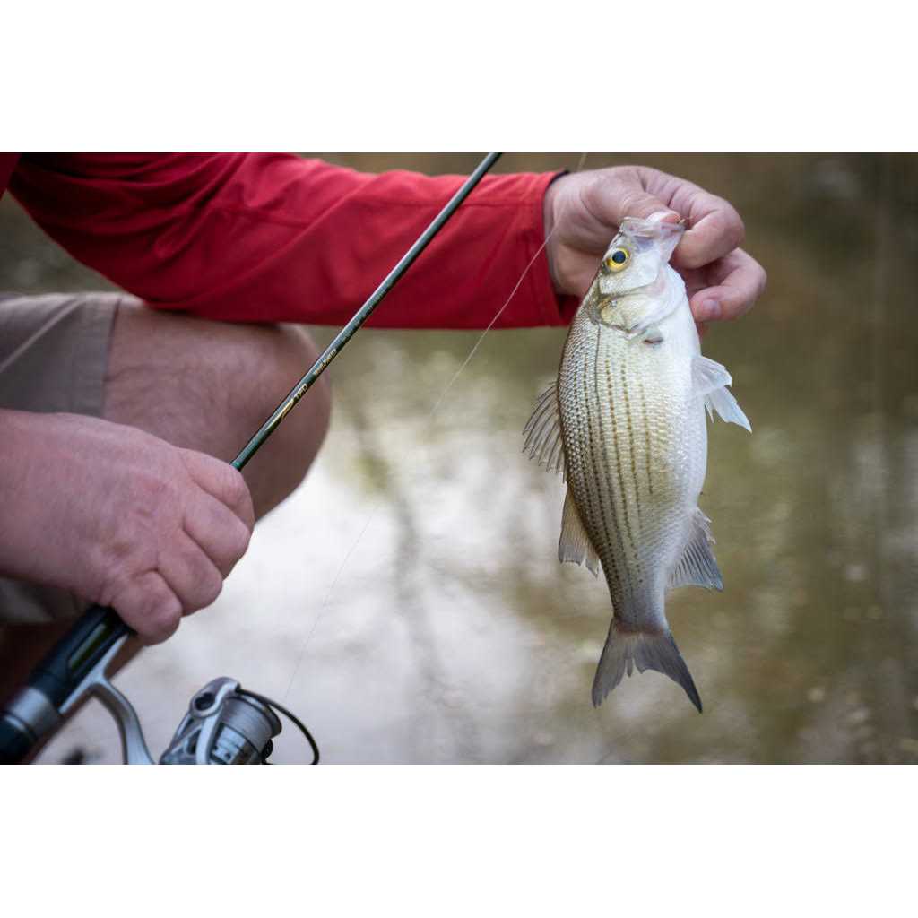 Temple Fork Outfitters Trout & Panfish Spinning Rod - Image 4