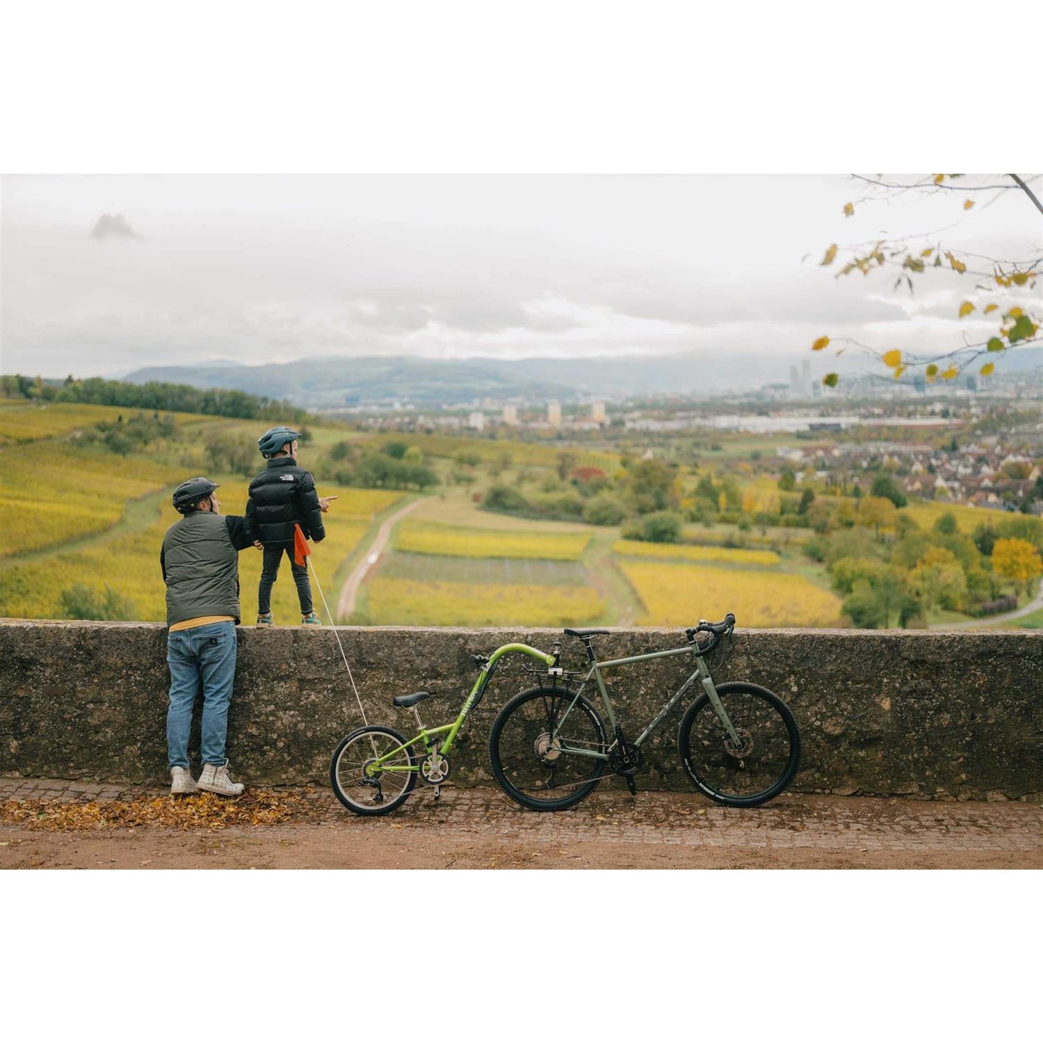 Burley Piccolo Trailercycle - Image 3