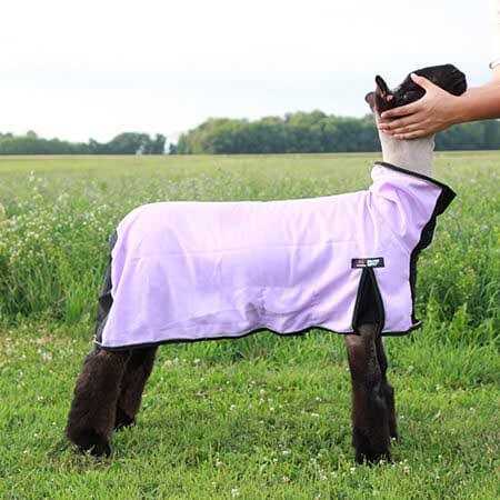 Sullivan Supply Cool Tech Blanket - Image 3