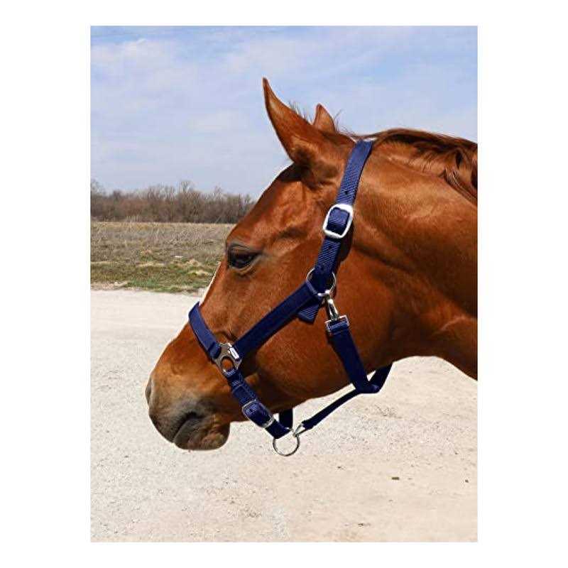 Tough 1 Adjustable Suckling Halter - Image 3