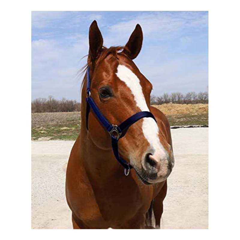 Tough 1 Adjustable Suckling Halter - Image 5