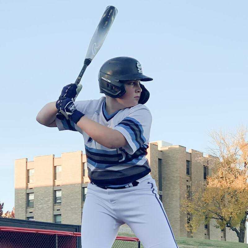 Rawlings Icon Baseball USA Bat - Image 5