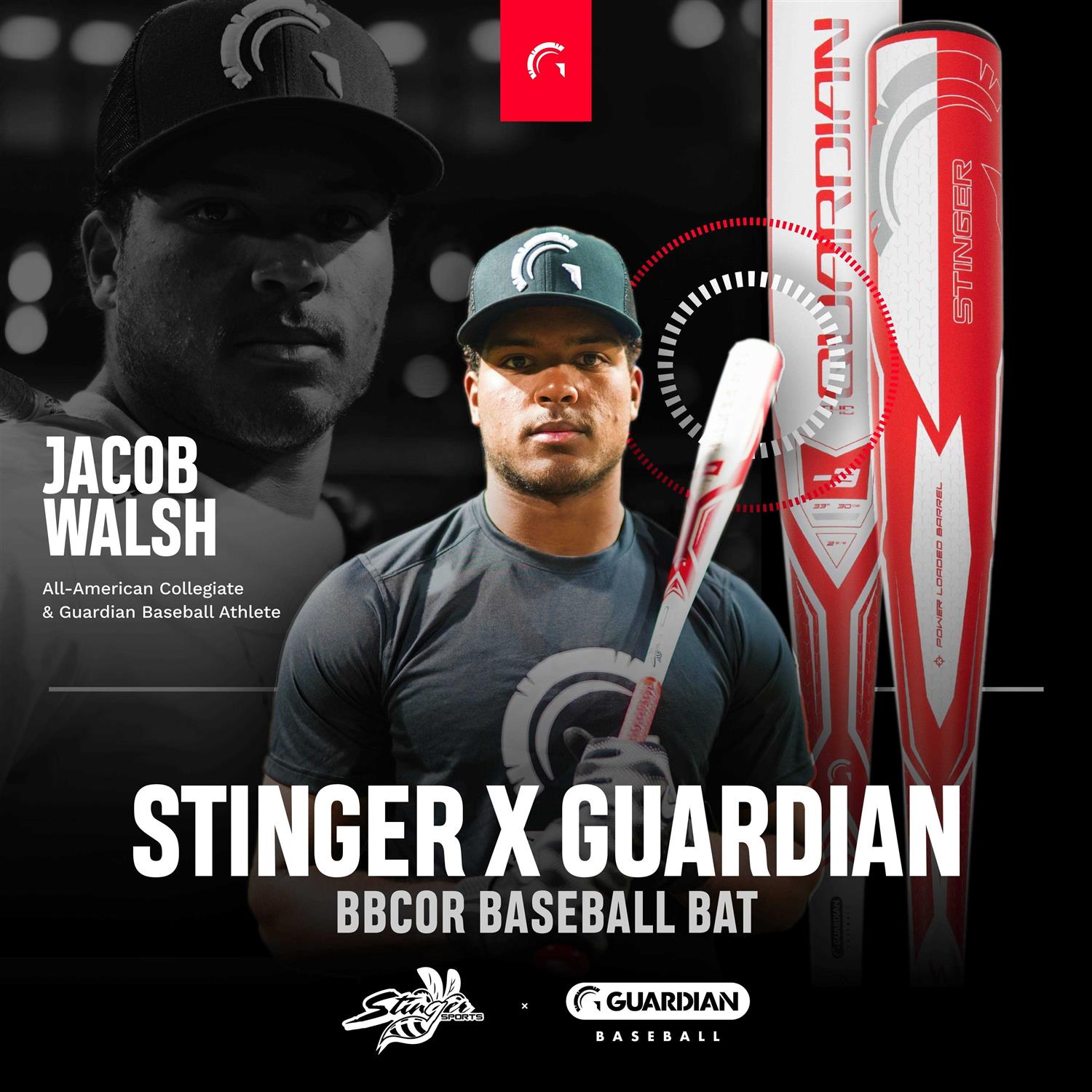 Stinger Guardian BBCOR Baseball Bat - Image 4