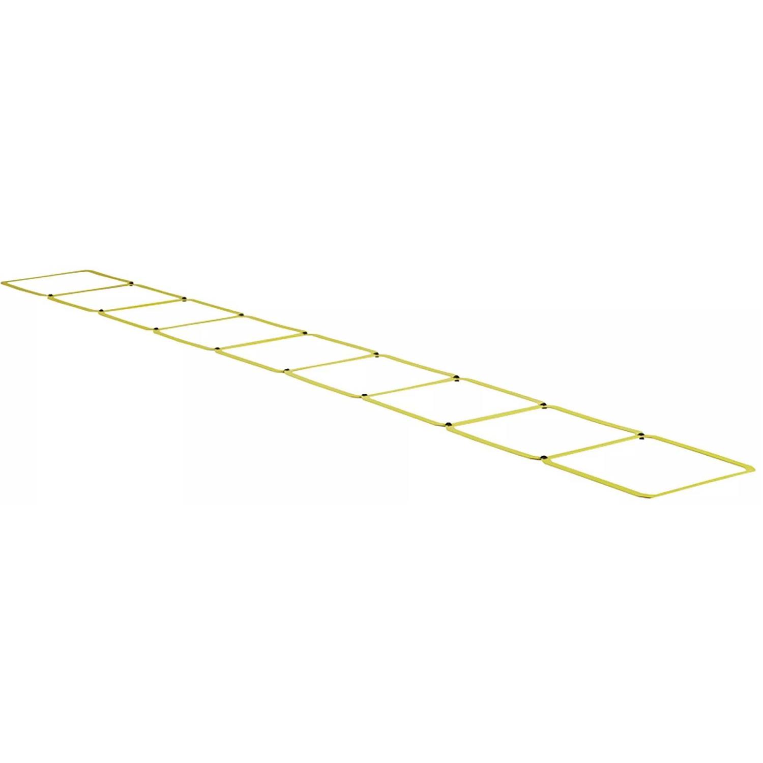 PRIMED Agility Training Ladder