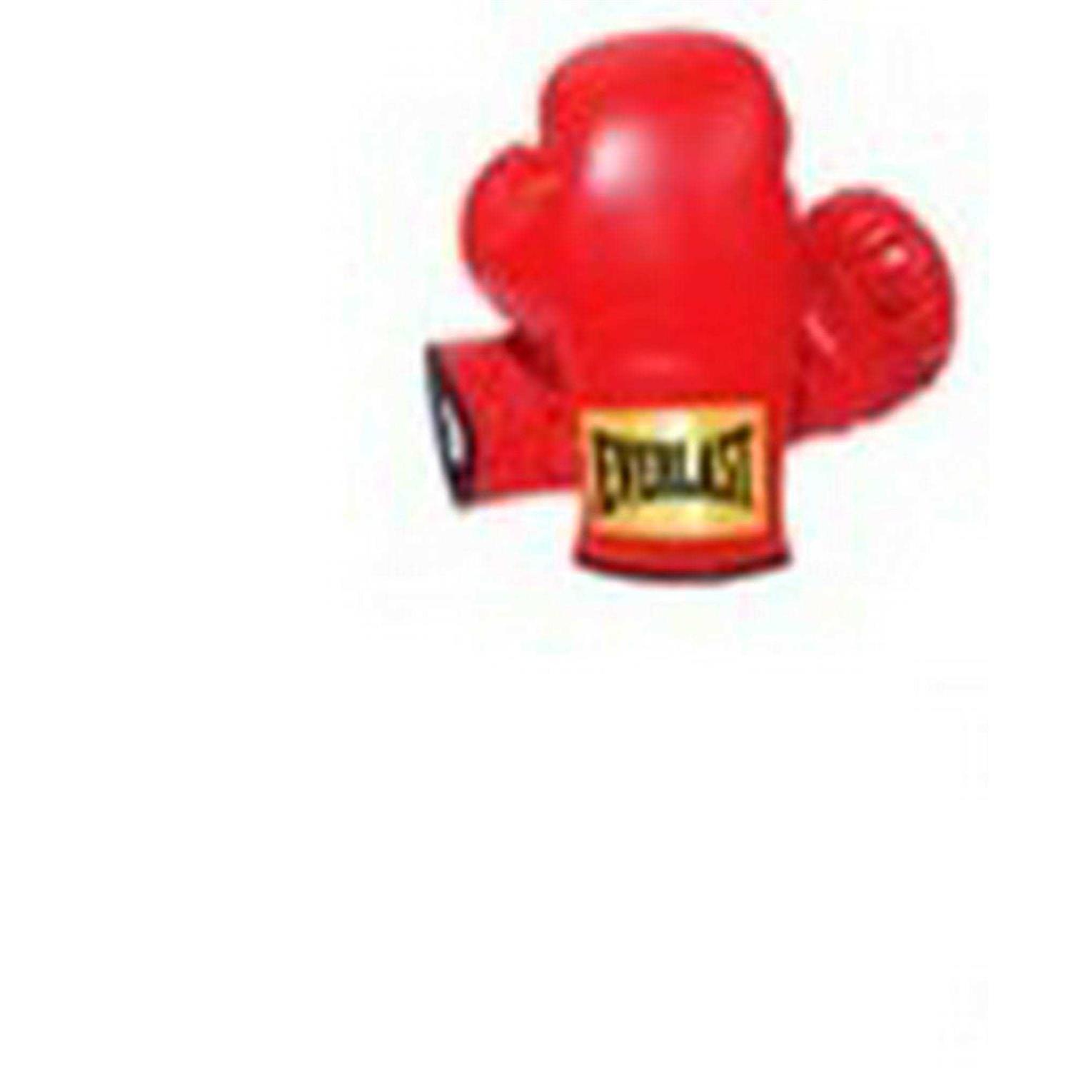 Everlast Youth 25lb Heavy Bag Starter Kit - Image 3