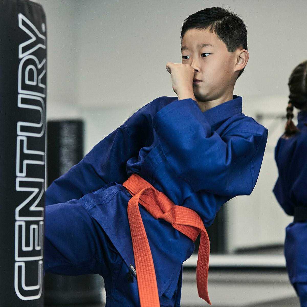 KarateSupply Martial Arts Belts Karate Taekwondo - Image 3