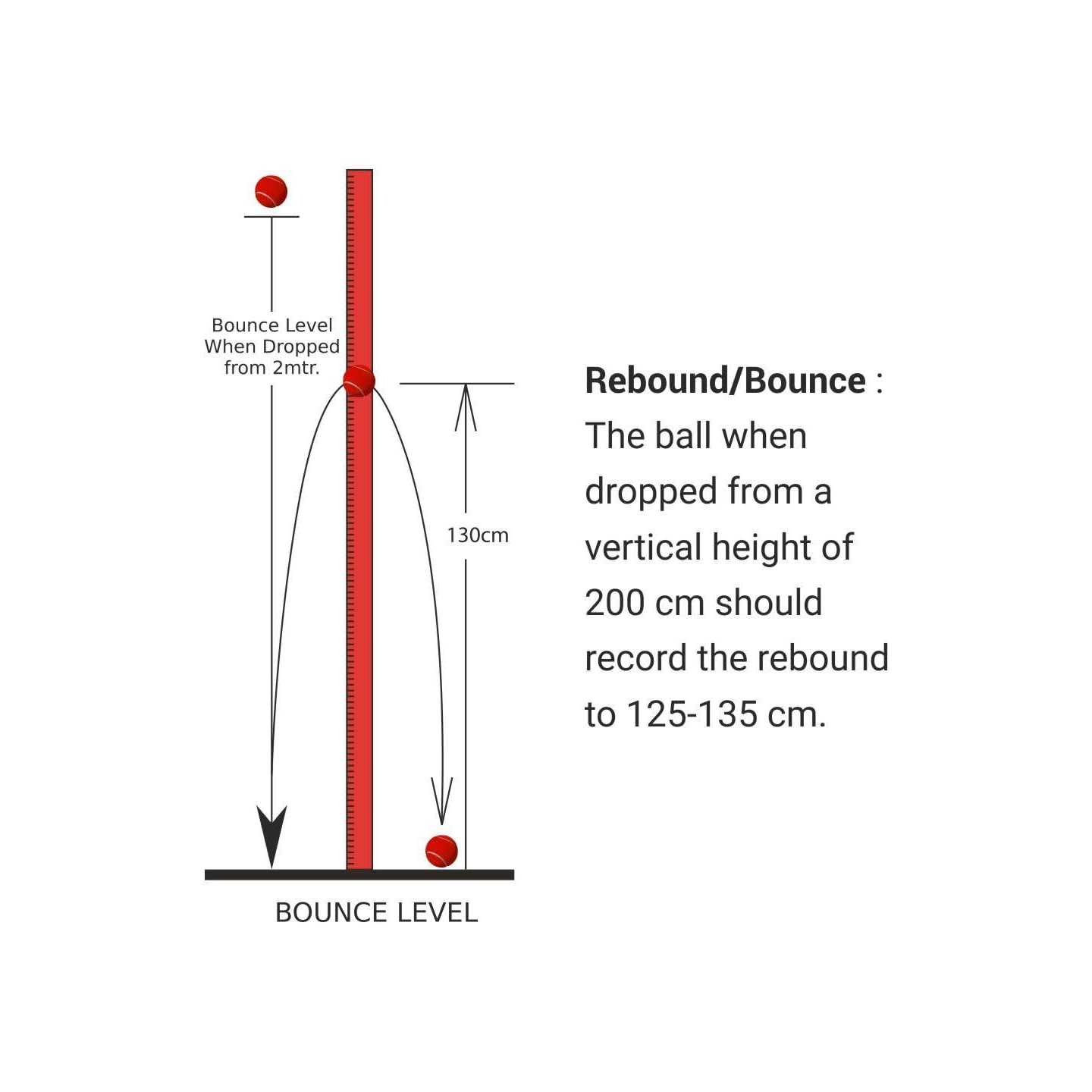 Nivia Heavy Tennis Ball Cricket Ball - Image 4