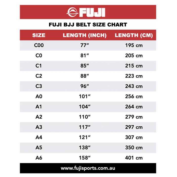 Fuji BJJ Belt - Image 2