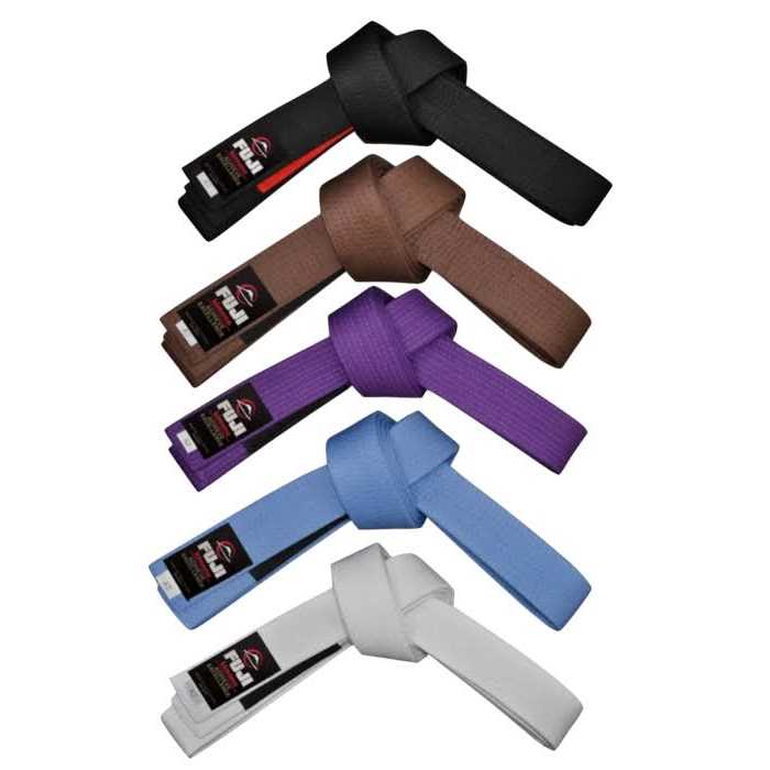 Fuji BJJ Belt - Image 3
