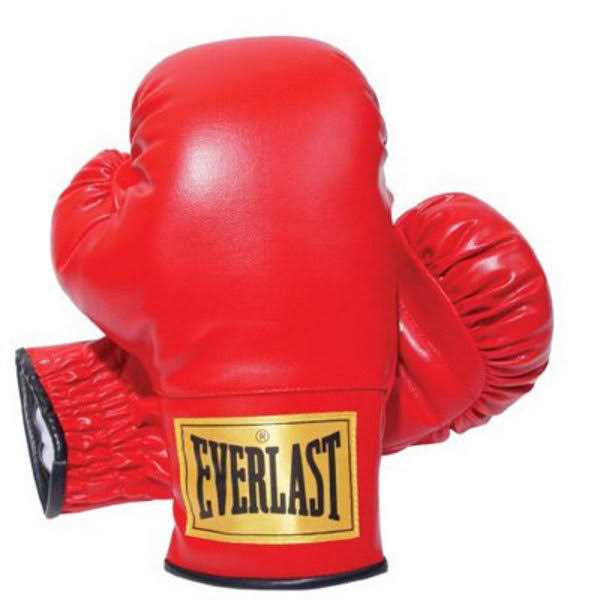 Everlast Youth Laceless Boxing Gloves