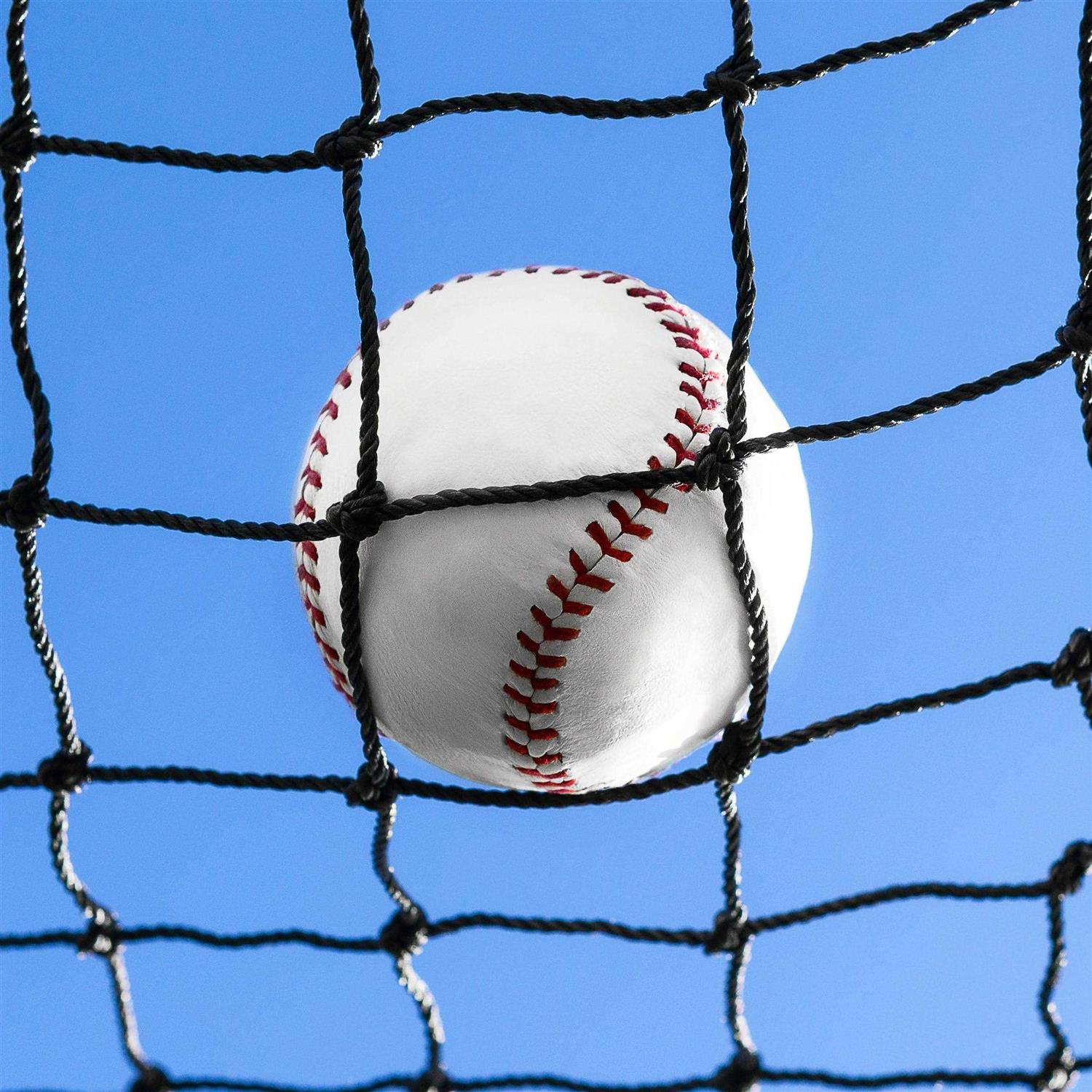 Net World Sports Baseball Net