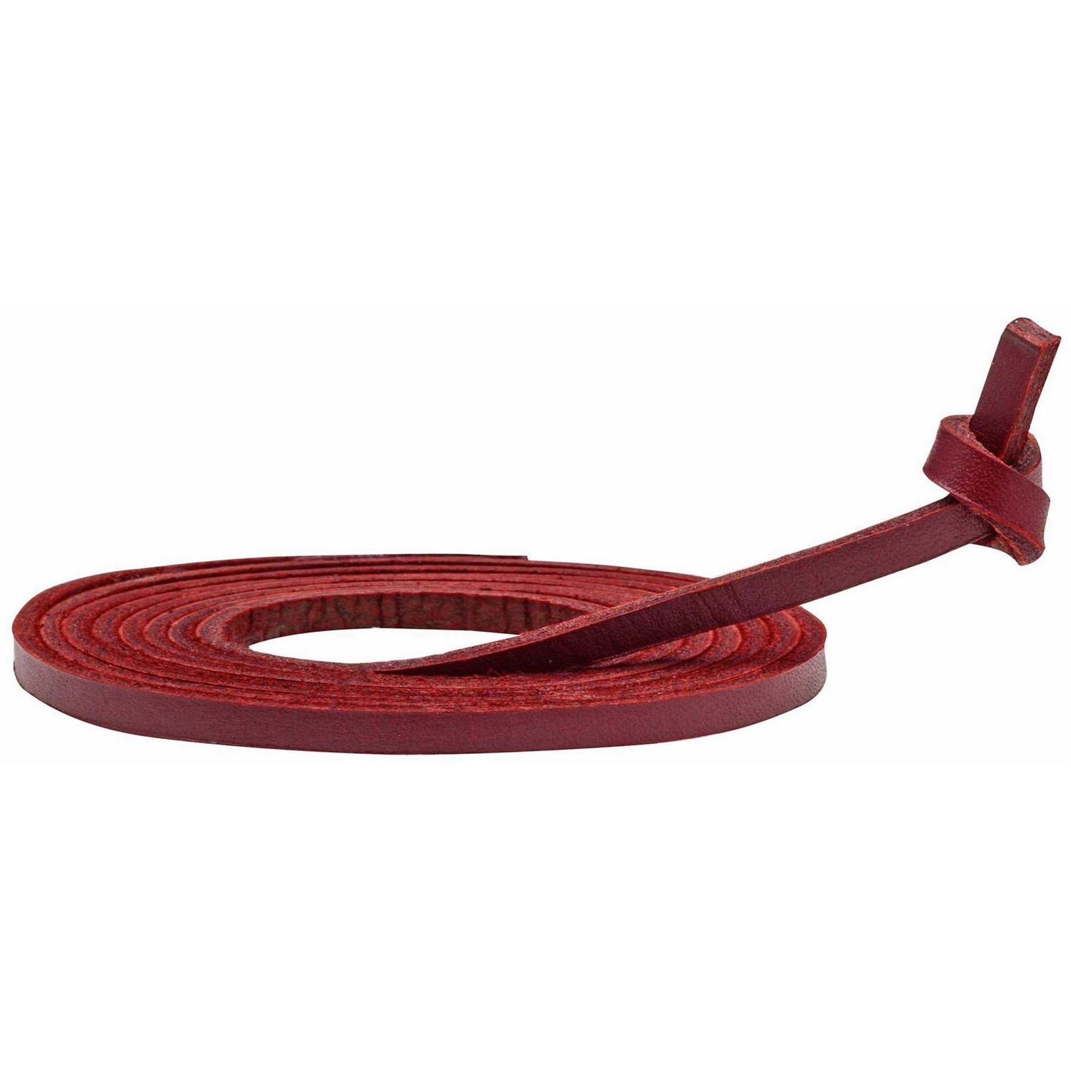 Mizuno Ball Glove Lace