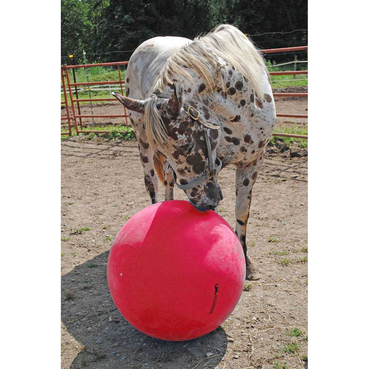 Horsemen's Pride Pride Jolly Mega Ball - Image 3