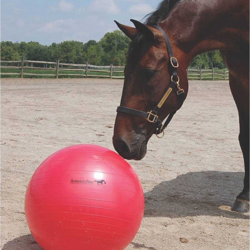 Horsemen's Pride Pride Jolly Mega Ball - Image 4